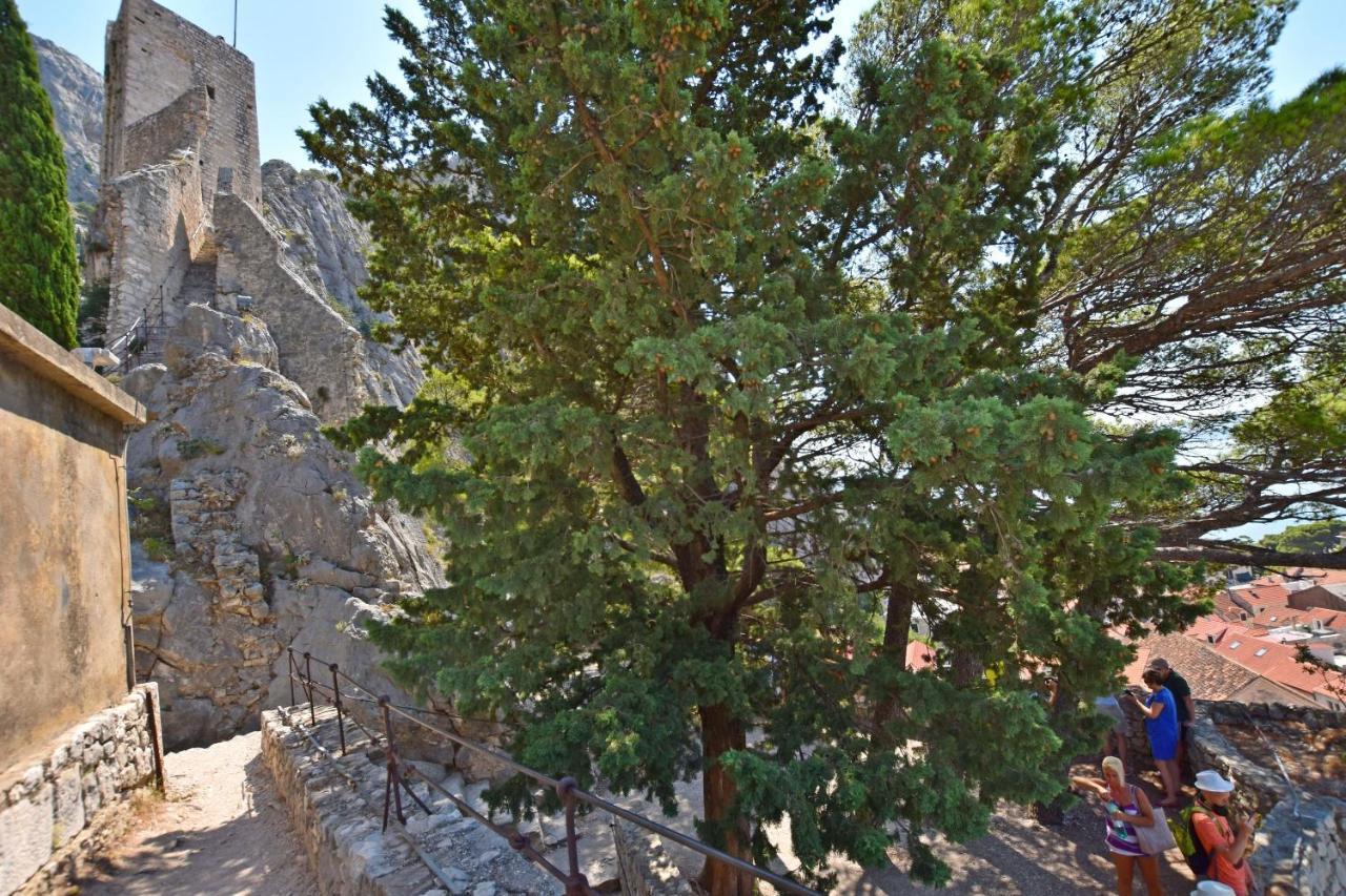 Apartment Mate Omiš Exteriör bild